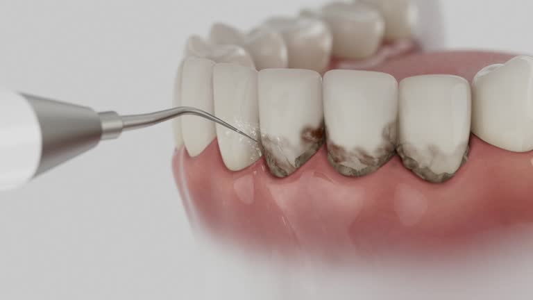 Reliable Dental contractor in Fairfield University, CT by Dentist Open Now